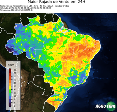 24 horas