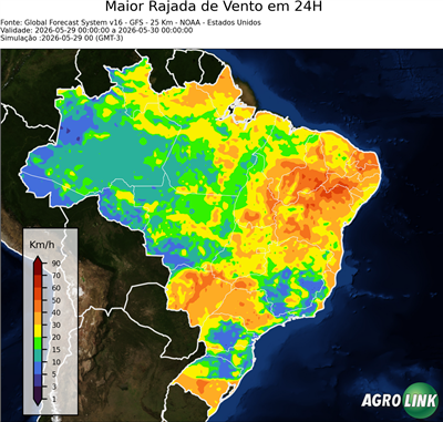 24 horas
