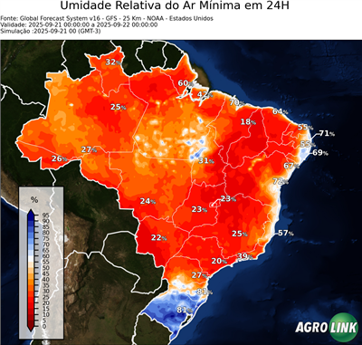 24 horas