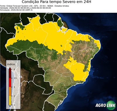 24 horas