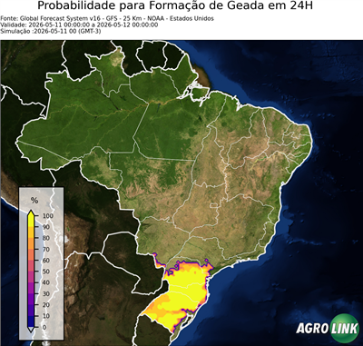 24 horas