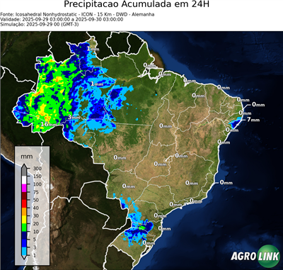 24 horas