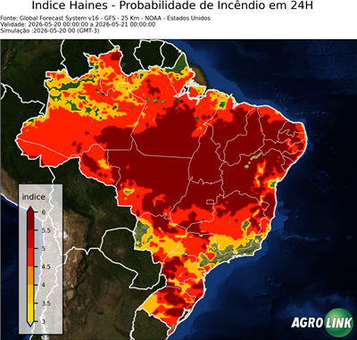 24 horas
