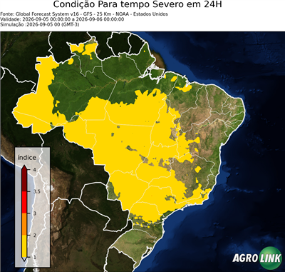 24 horas