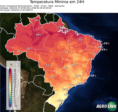 24 horas
