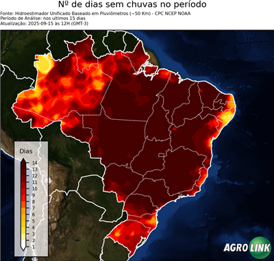 15 dias