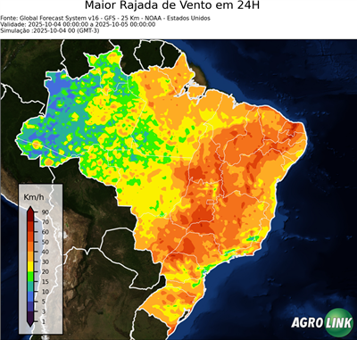24 horas