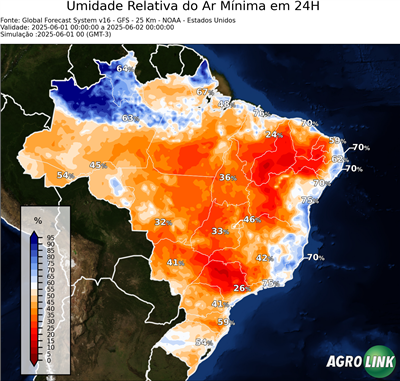 24 horas