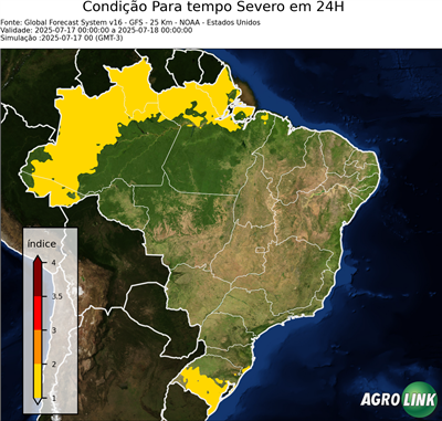 24 horas