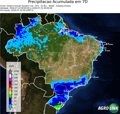 7 dias