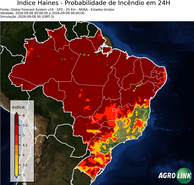 24 horas
