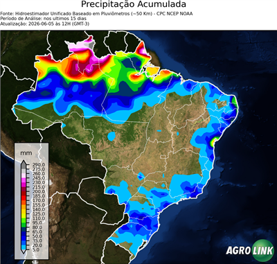 15 dias