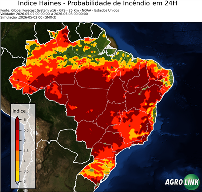 24 horas