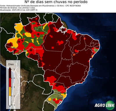 5 dias