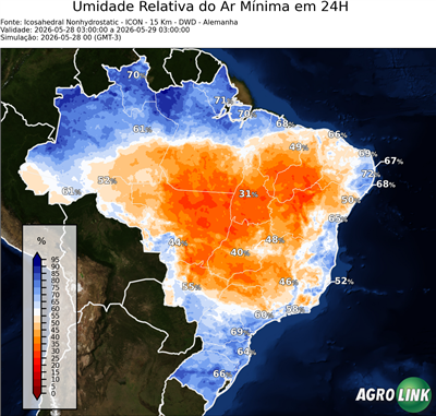 24 horas
