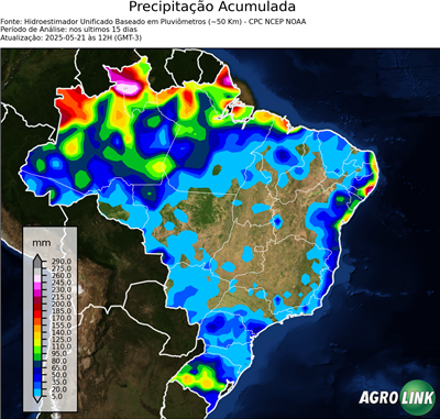 15 dias