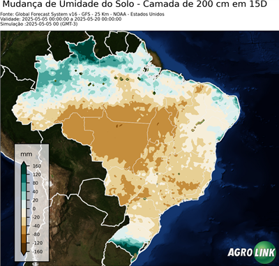 15 dias