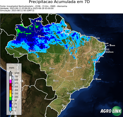 7 dias