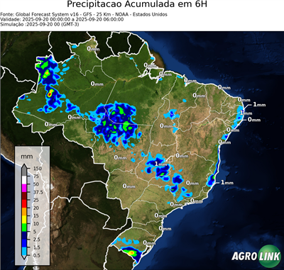6 horas