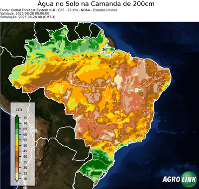 24 horas