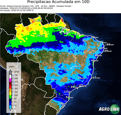 10 dias