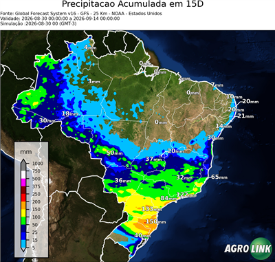15 dias