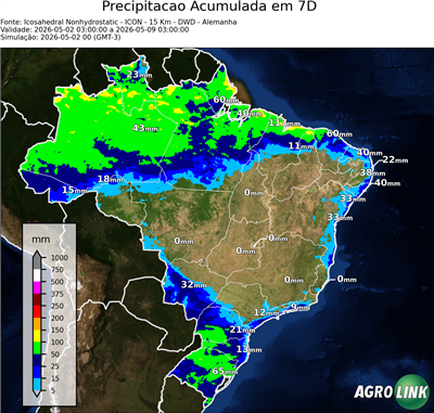 7 dias