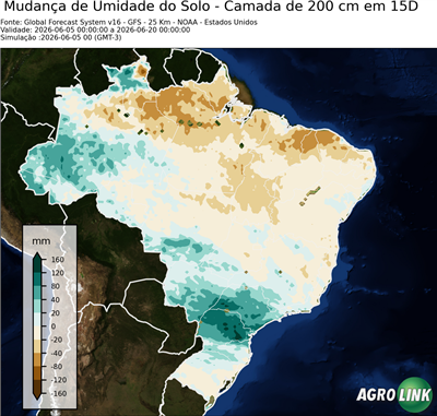 15 dias