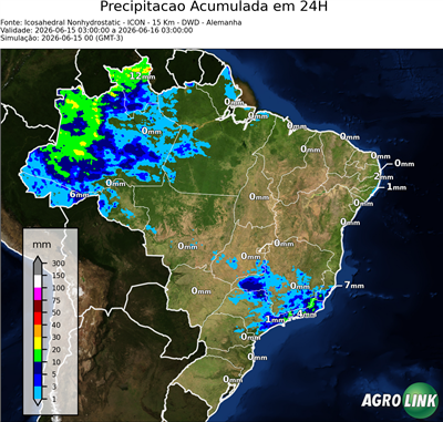 24 horas