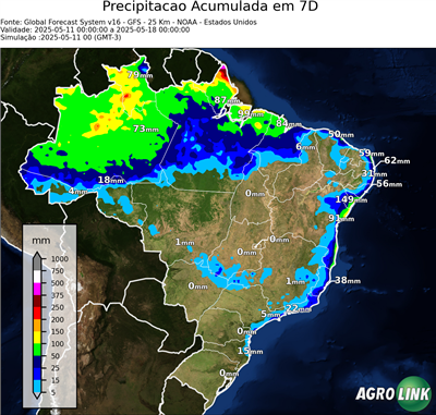 7 dias