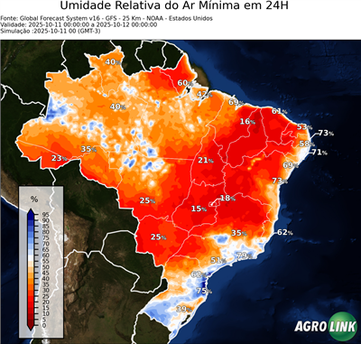 24 horas