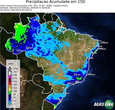 15 dias