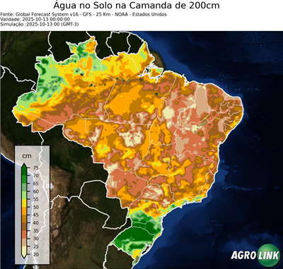 24 horas