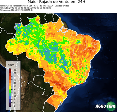 24 horas