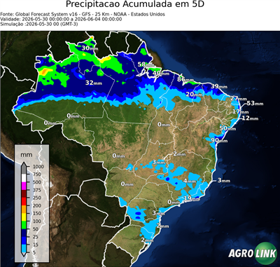 5 dias