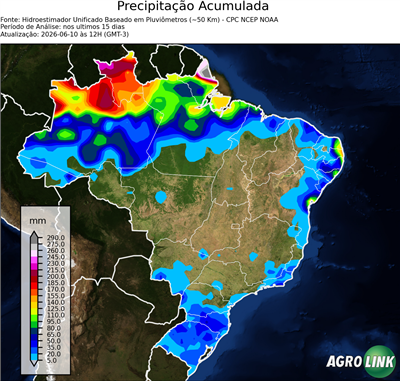 15 dias
