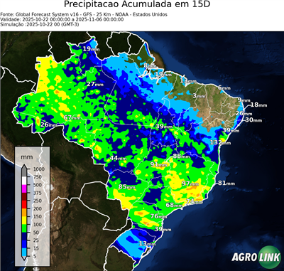 15 dias