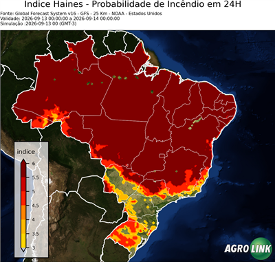 24 horas