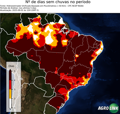 5 dias