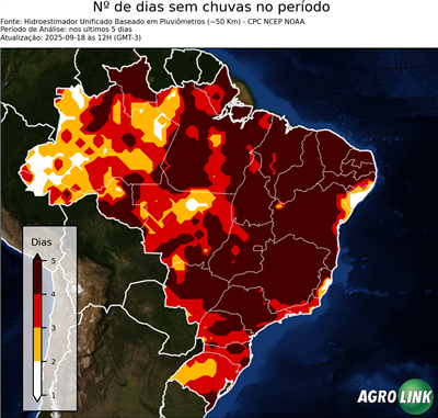 5 dias