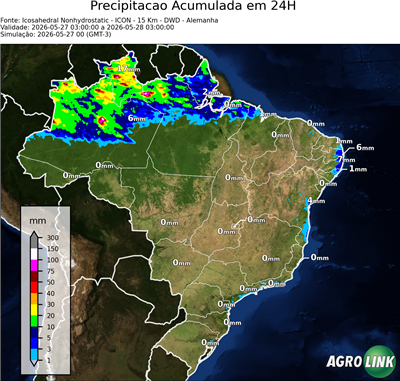 24 horas