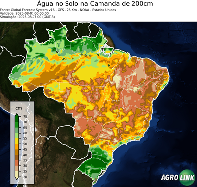 24 horas
