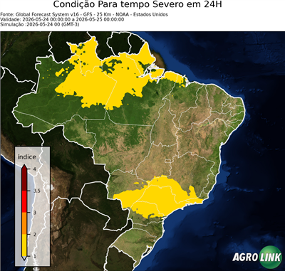 24 horas