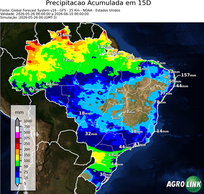 15 dias