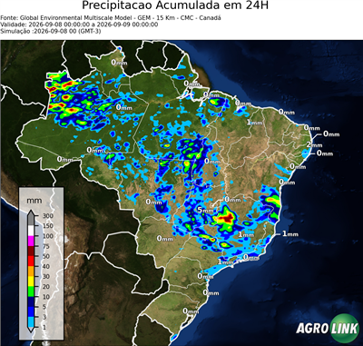 24 horas