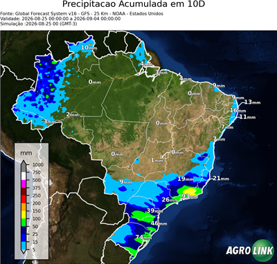 10 dias