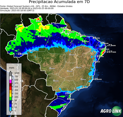 7 dias