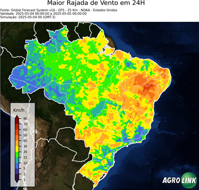 24 horas