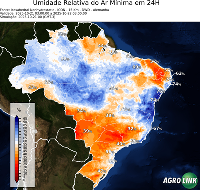 24 horas
