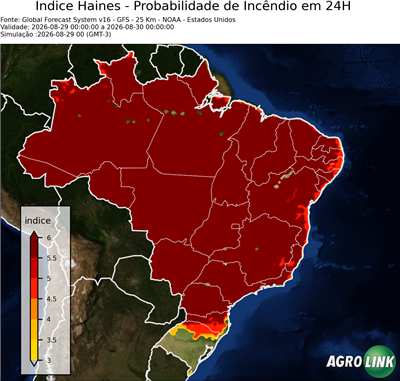 24 horas